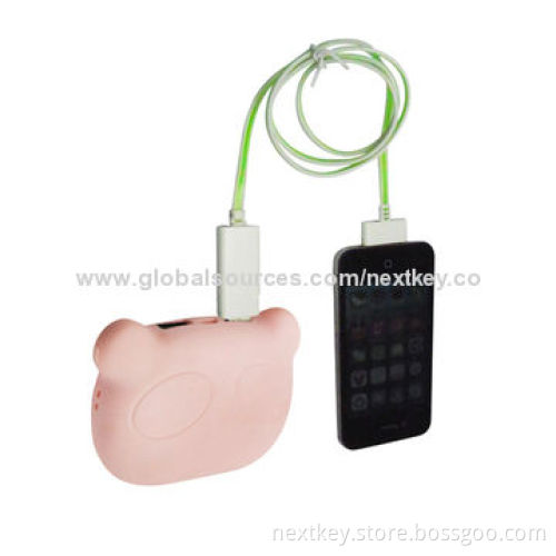 Private Model Power Station for iPhone, 4000mAh Capacity with Dual-USB, Sized 10*7*3.2cm
